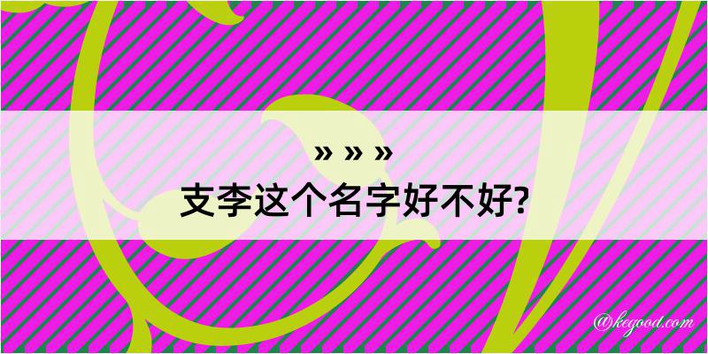 支李这个名字好不好?