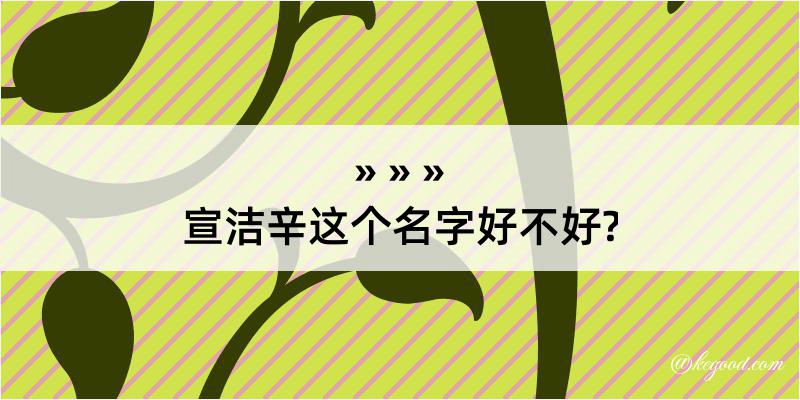 宣洁辛这个名字好不好?