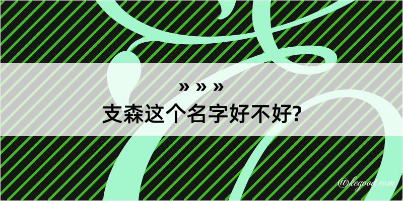 支森这个名字好不好?