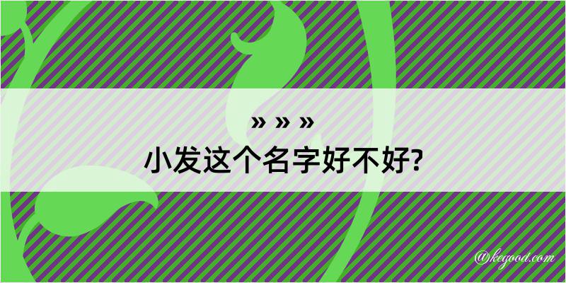 小发这个名字好不好?