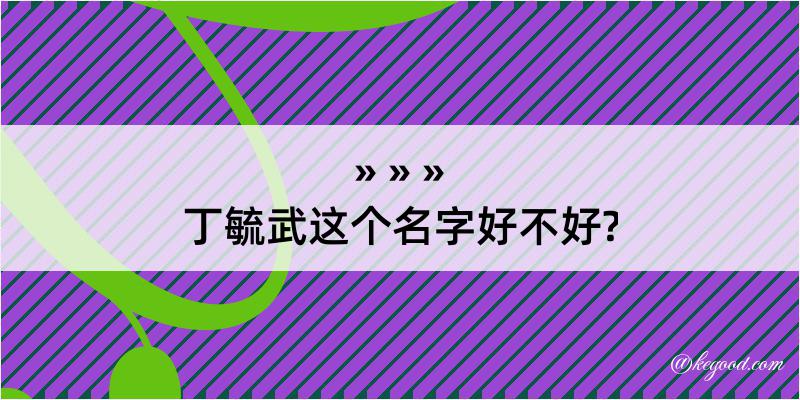 丁毓武这个名字好不好?