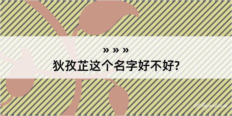 狄孜芷这个名字好不好?