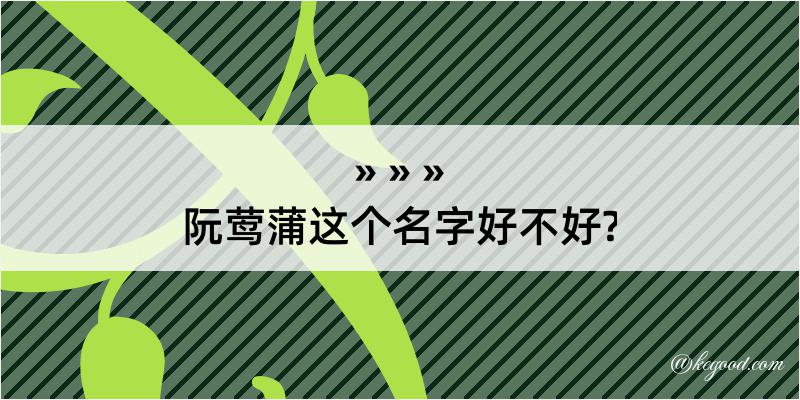 阮莺蒲这个名字好不好?