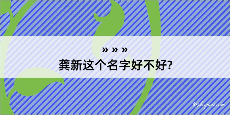 龚新这个名字好不好?