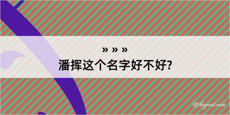 潘挥这个名字好不好?