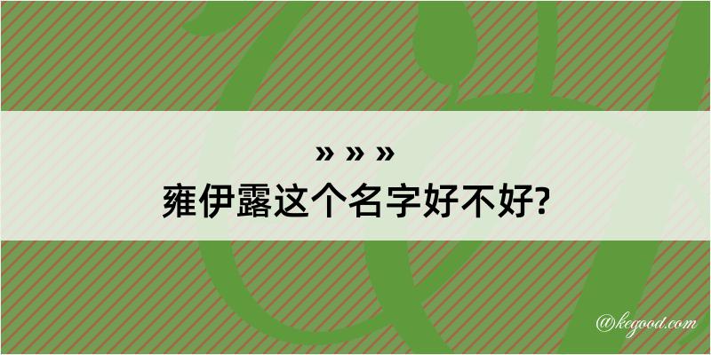 雍伊露这个名字好不好?