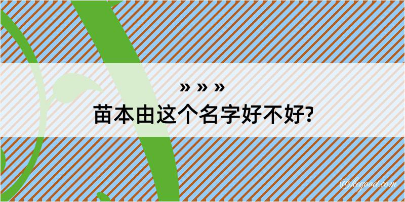 苗本由这个名字好不好?