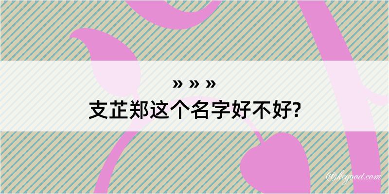 支芷郑这个名字好不好?