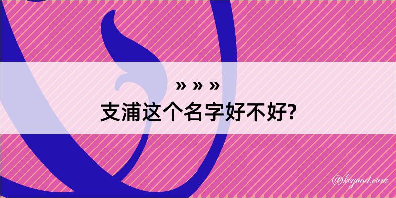 支浦这个名字好不好?