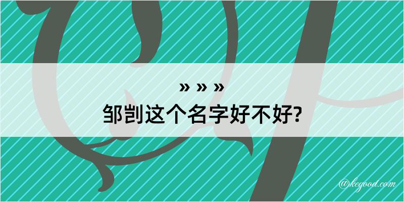 邹剀这个名字好不好?