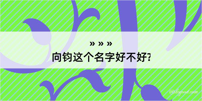 向钧这个名字好不好?