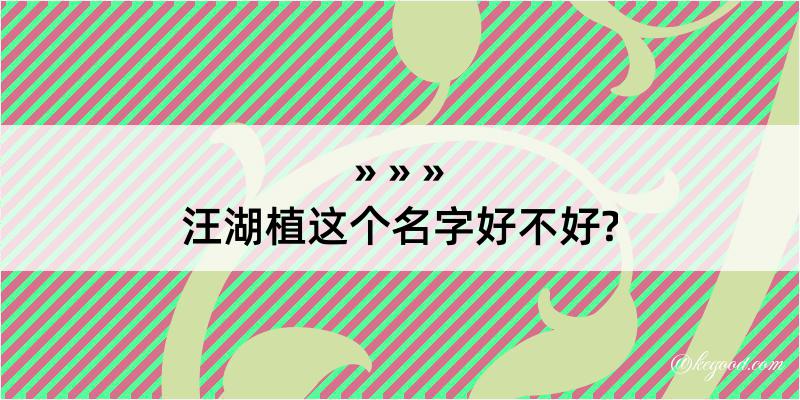 汪湖植这个名字好不好?