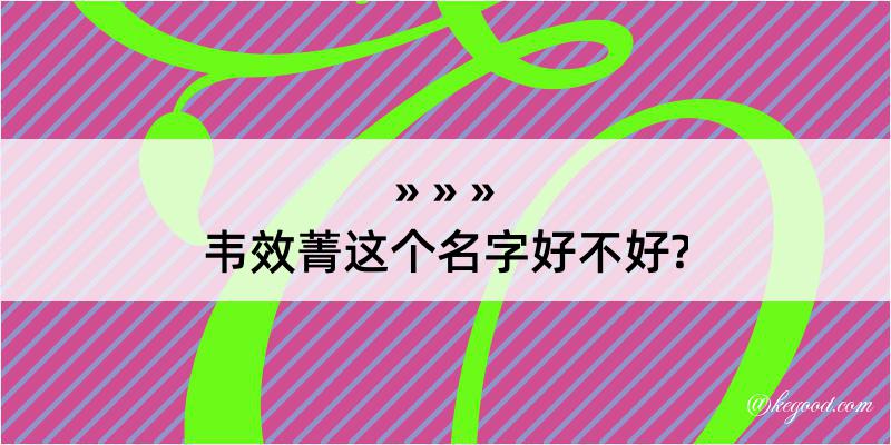 韦效菁这个名字好不好?