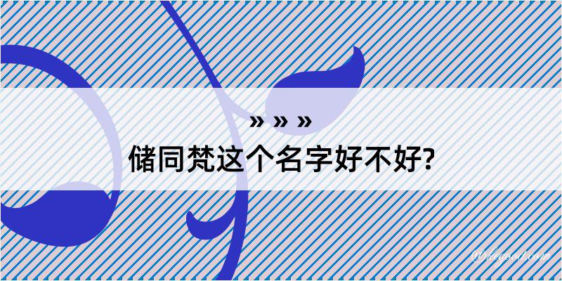 储同梵这个名字好不好?