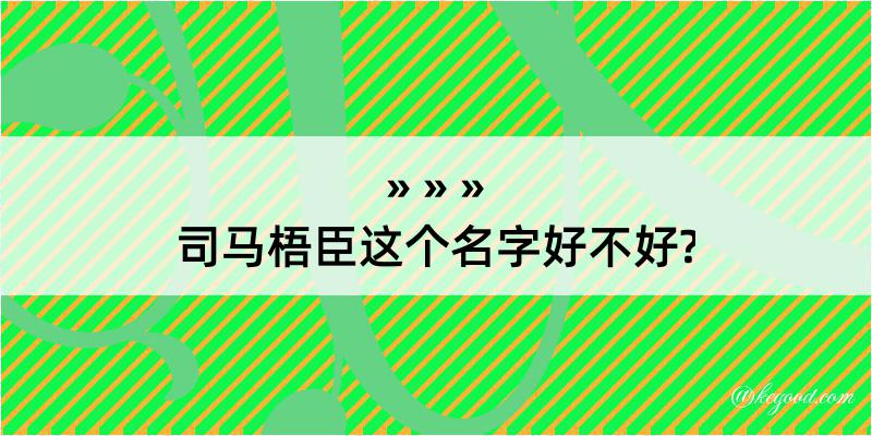 司马梧臣这个名字好不好?