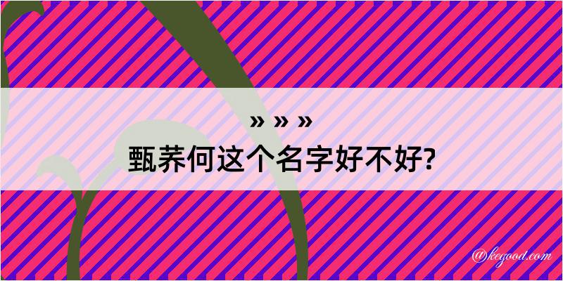 甄荞何这个名字好不好?