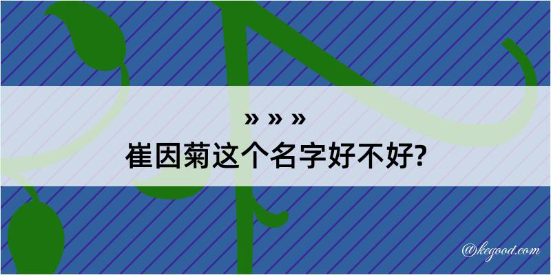 崔因菊这个名字好不好?