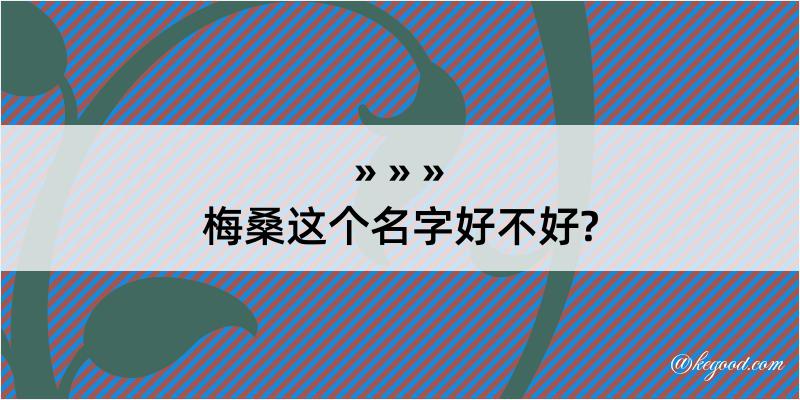 梅桑这个名字好不好?