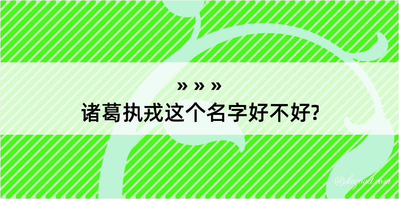 诸葛执戎这个名字好不好?