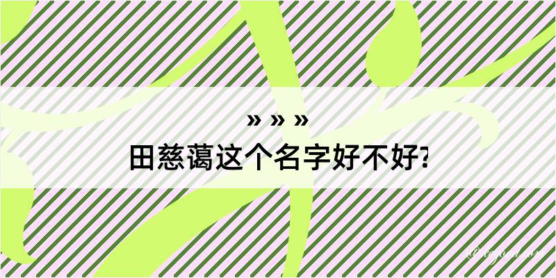 田慈蔼这个名字好不好?