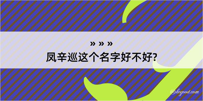 凤辛巡这个名字好不好?