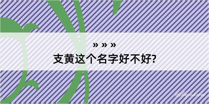 支黄这个名字好不好?