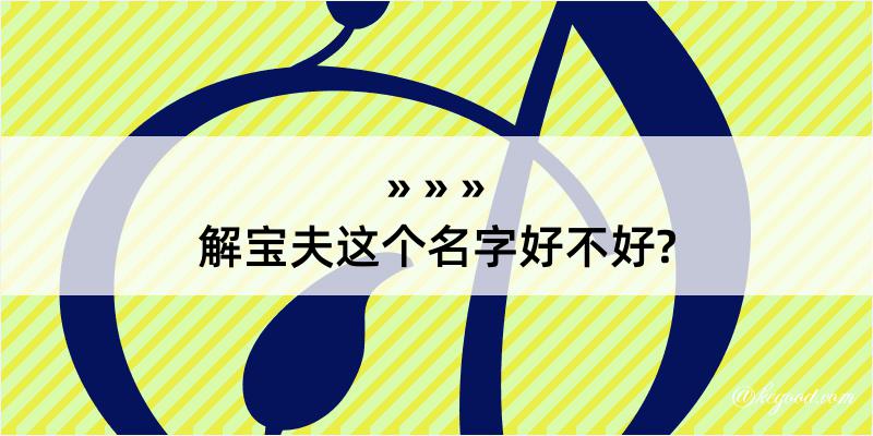 解宝夫这个名字好不好?