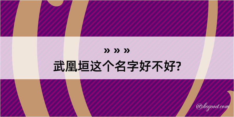 武凰垣这个名字好不好?