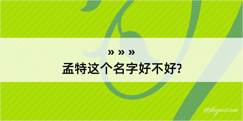 孟特这个名字好不好?