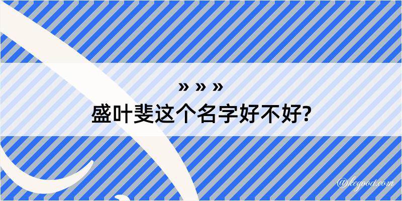 盛叶斐这个名字好不好?