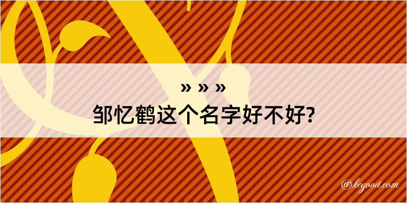 邹忆鹤这个名字好不好?