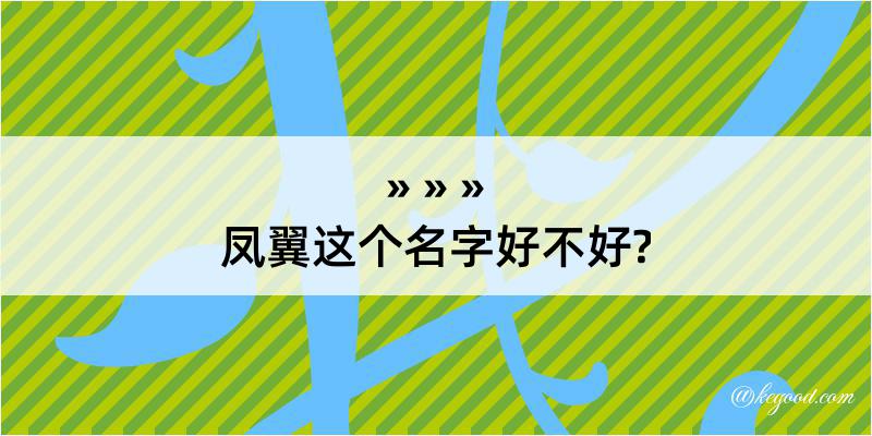 凤翼这个名字好不好?