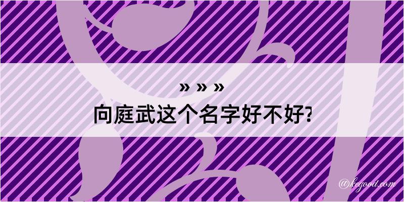 向庭武这个名字好不好?