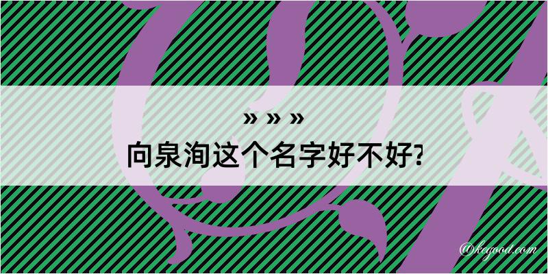 向泉洵这个名字好不好?