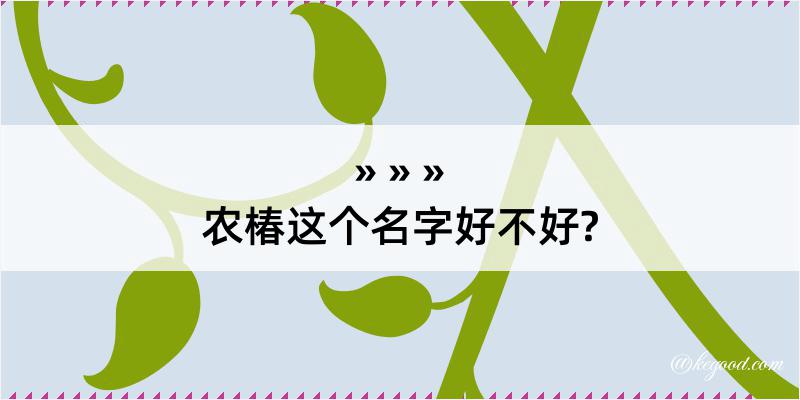 农椿这个名字好不好?