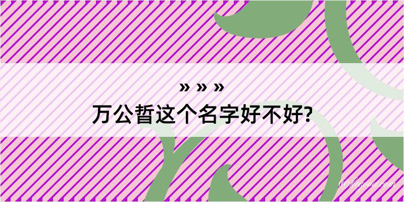 万公晢这个名字好不好?