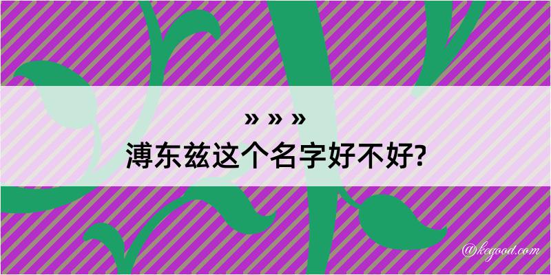 溥东兹这个名字好不好?