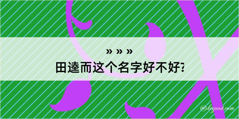 田逵而这个名字好不好?