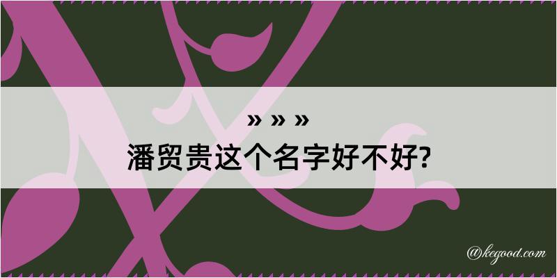 潘贸贵这个名字好不好?