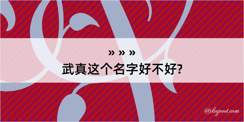 武真这个名字好不好?