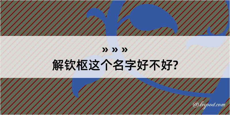 解钦枢这个名字好不好?