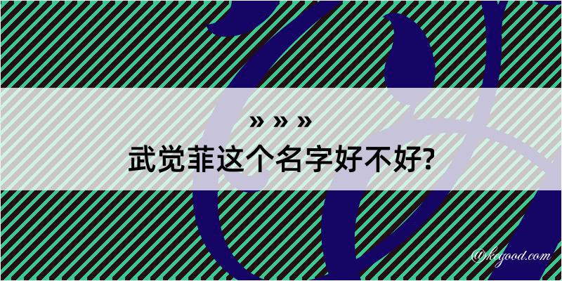 武觉菲这个名字好不好?