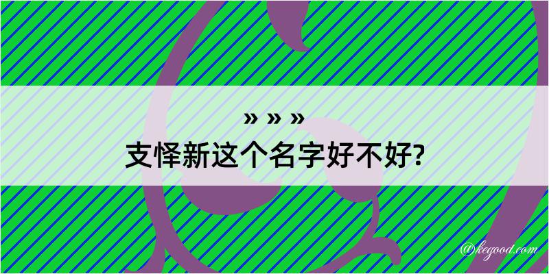 支怿新这个名字好不好?