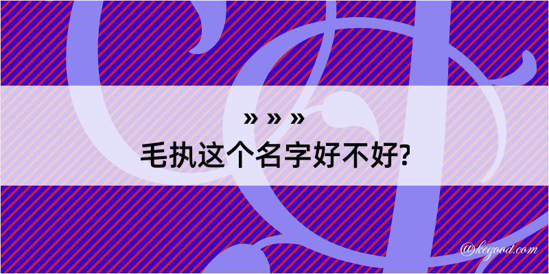 毛执这个名字好不好?