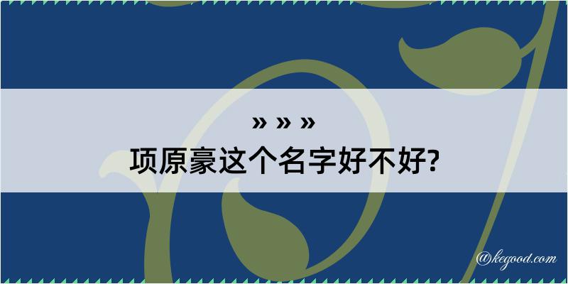 项原豪这个名字好不好?