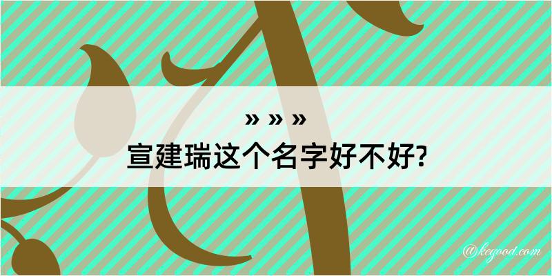 宣建瑞这个名字好不好?