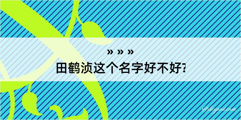 田鹤浈这个名字好不好?