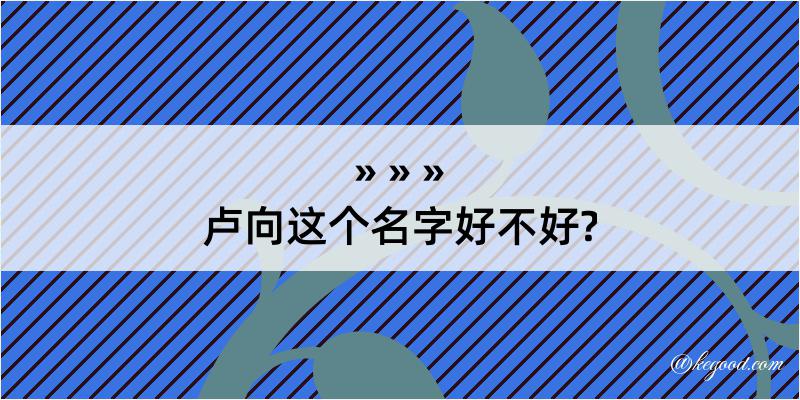 卢向这个名字好不好?