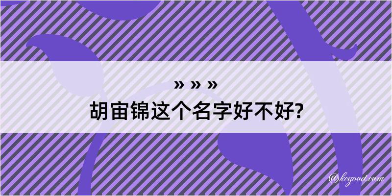 胡宙锦这个名字好不好?