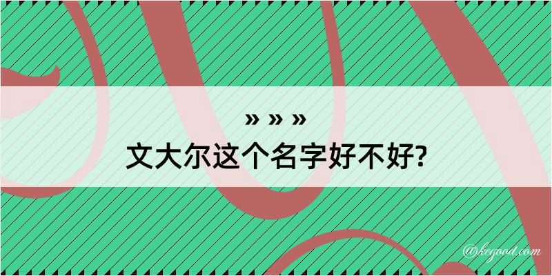 文大尔这个名字好不好?